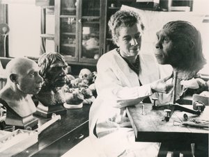 Lucile Swan recreating a model of the skull of the Peking Man Nelly by Unbekannt Unbekannt